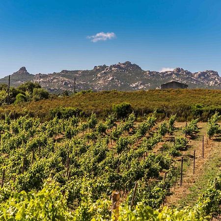 Locanda In Vigna Арцакена Экстерьер фото