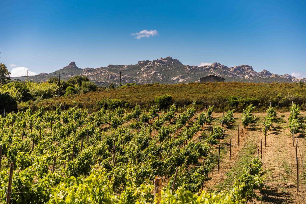 Locanda In Vigna Арцакена Экстерьер фото